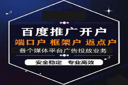 竞价广告在XX行业的成功应用案例